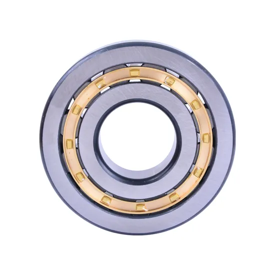 Bdl Cylindrical Roller Bearing High Quality Hot Sale