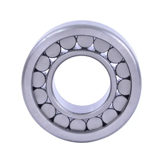 Bdl-Cylindrical-Roller-Bearing-NF305-Cylindrical-Roller-Bearing-for-Electric-Generator