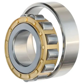 Bdl NJ205E Cylindrical Roller Bearing for Engine