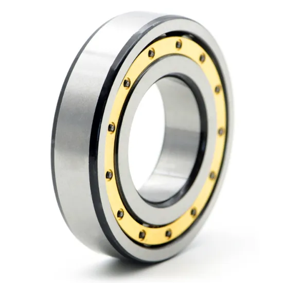 Bdl-Cylindrical-Roller-Bearing-Nj305etn1-Cylindrical-Roller-Bearing-for-Vibrating-Screen