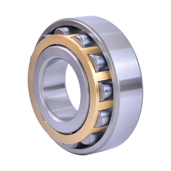 Bdl-Cylindrical-Roller-Bearing-Nup305-Cylindrical-Roller-Bearing-for-Medium-and-Large-Motor