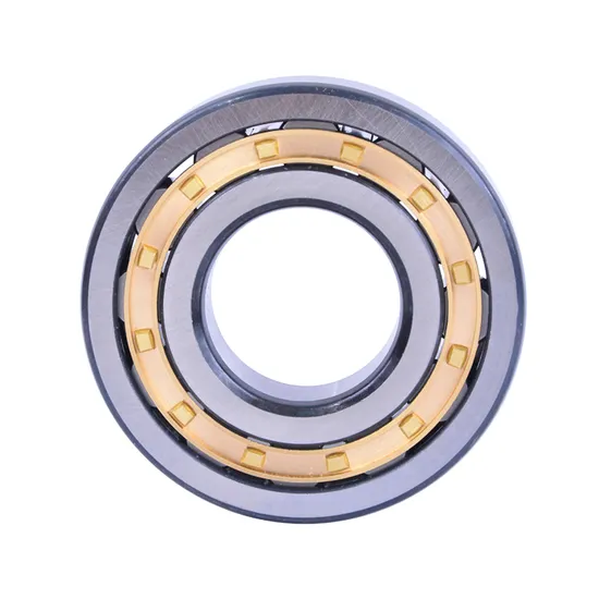 Bdl-Cylindrical-Roller-Bearing-Nup305-Cylindrical-Roller-Bearing-for-Medium-and-Large-Motor
