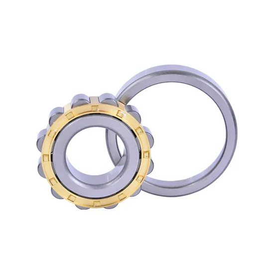 Bdl-Cylindrical-Roller-Bearing-Nup305e-Cylindrical-Roller-Bearing-for-Machine-Tool-Spindle
