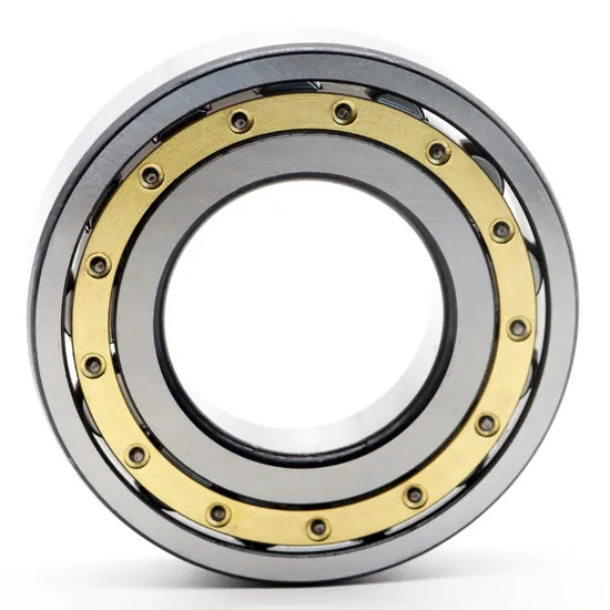 Bdl-High-Precision-Double-Row-Cylindrical-Roller-Bearing-Nn3019K-Nn3020K-Nn3021K-P5-P4-W33