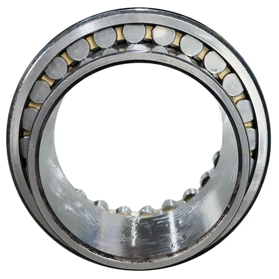Bdl-High-Precision-Double-Row-Cylindrical-Roller-Bearing-Nn3019K-Nn3020K-Nn3021K-P5-P4-W33