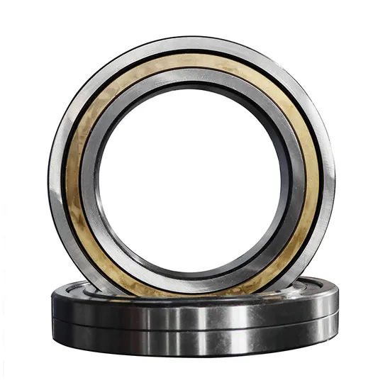 Bdl-High-Precision-Double-Row-Cylindrical-Roller-Bearing-Nn3040K-Nn3044K-Nn3048K-P5-P4-W33