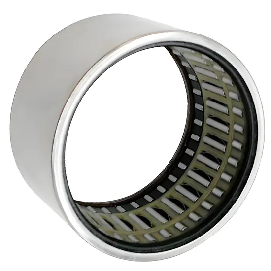 Bdl NK19/16 NK19/20 NK20/16 Needle Roller Bearings – High-Load, Precision OEM Factory