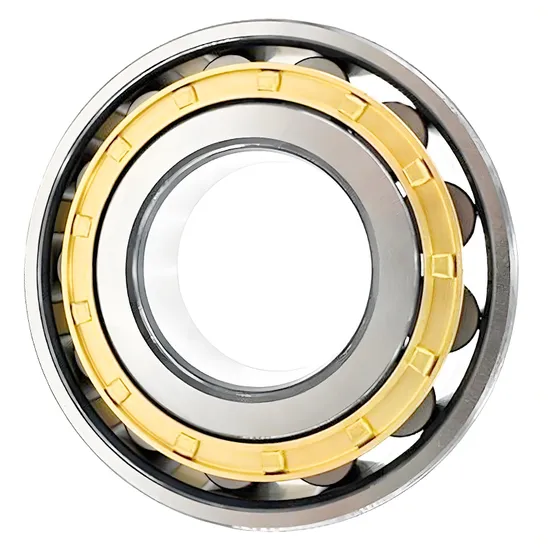 Bdl-Roller-Bearing-N305-Cylindrical-Roller-Bearing-for-Machine-Tool-Spindle