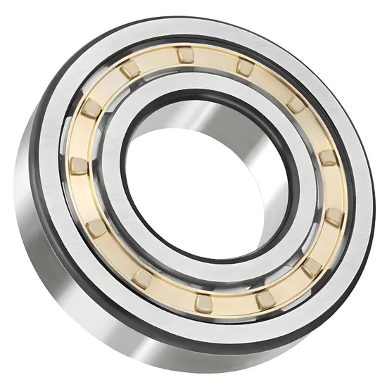 Bdl N305 Cylindrical Roller Bearing High Precision for Spindle