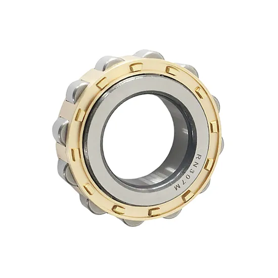 Cylindrical-Roller-Bearing-Rn203-Rn204-Rn206m-Rn307m-Rn205e-Rn308-Rn309e-Rn312-Rn219-Rn222-Rn228-Without-Outer-Ring