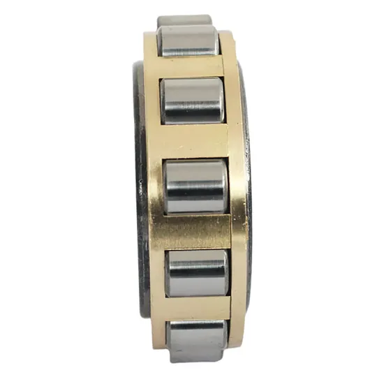 Cylindrical-Roller-Bearing-Rn203-Rn204-Rn206m-Rn307m-Rn205e-Rn308-Rn309e-Rn312-Rn219-Rn222-Rn228-Without-Outer-Ring