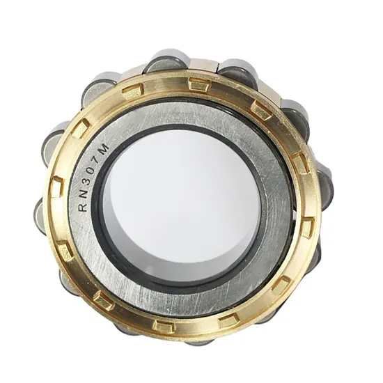 Cylindrical Roller Bearings Rn203–Rn228, No Outer Ring, High-Load Factory Direct