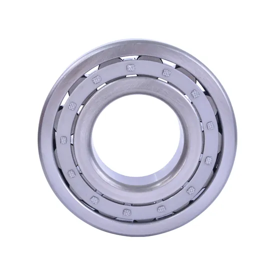 High Quality NU Cylinder Roller Bearing Single Row