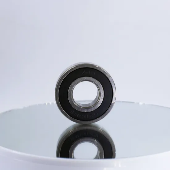 Stainless Steel 6204/6207/6305 2RS Deep Groove Ball Bearings